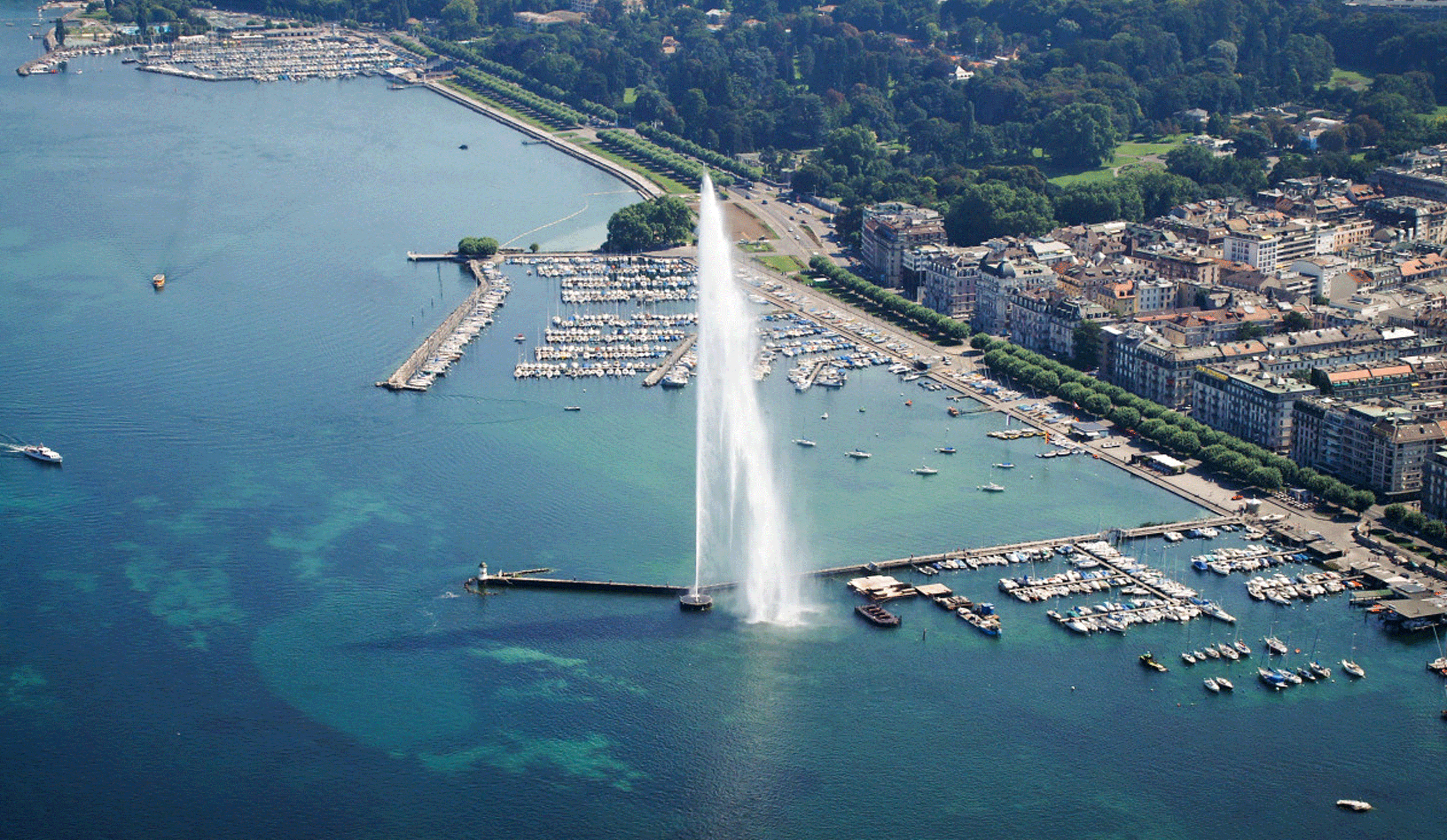 Ville de Genève Département de la Cohésion sociale et de la